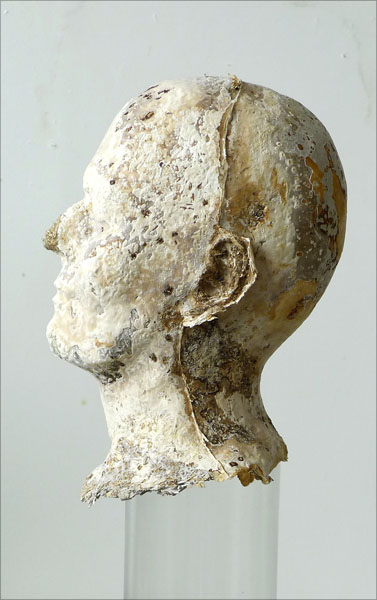 hoofd_mycelium1_website.jpg