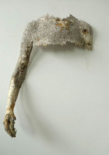 voorkant_arm_def_website-1.jpg